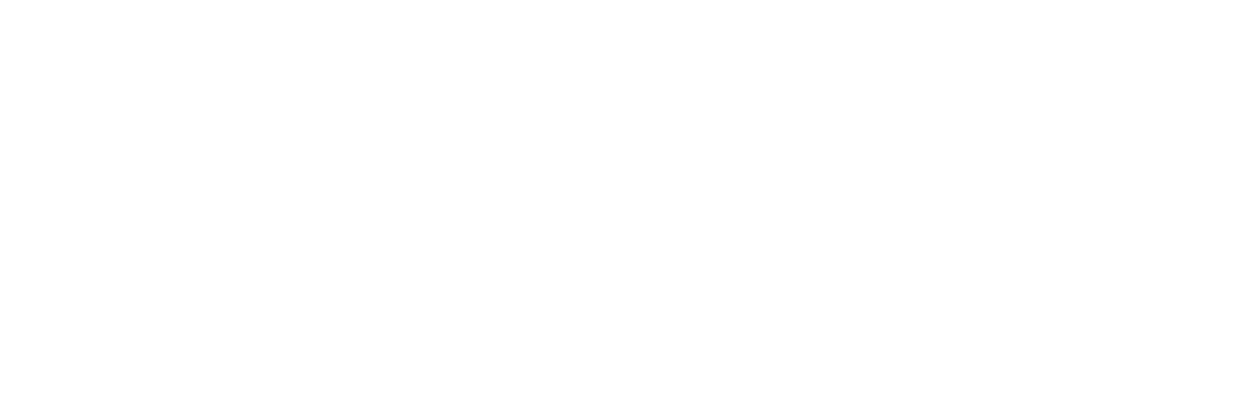 Imagotipo de Emily Eva para edición técnica de patrones